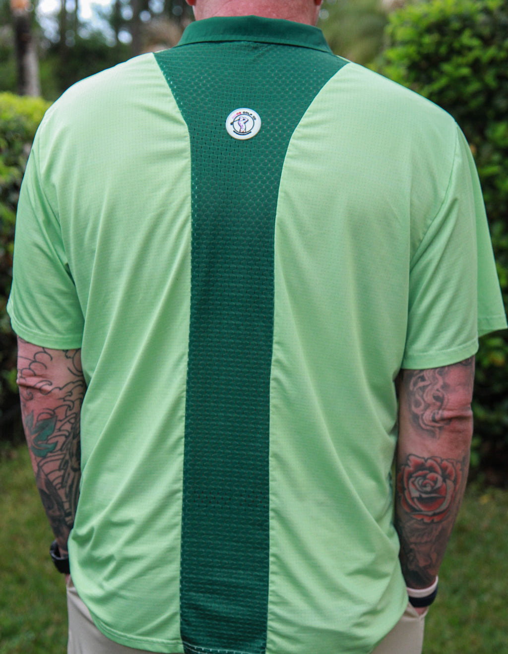 DriSpine Classic Collection
