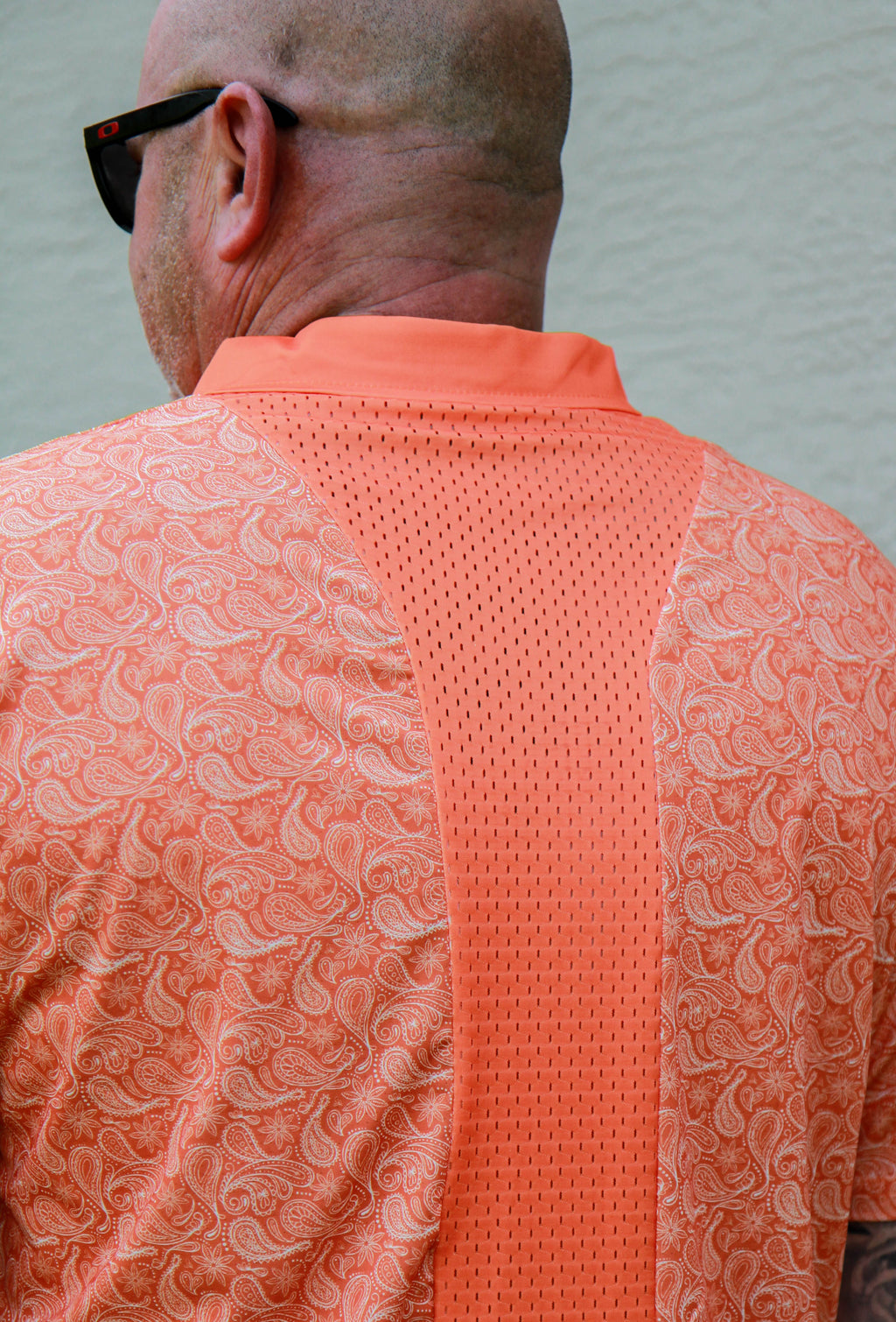 DriSpine Paisley Collection