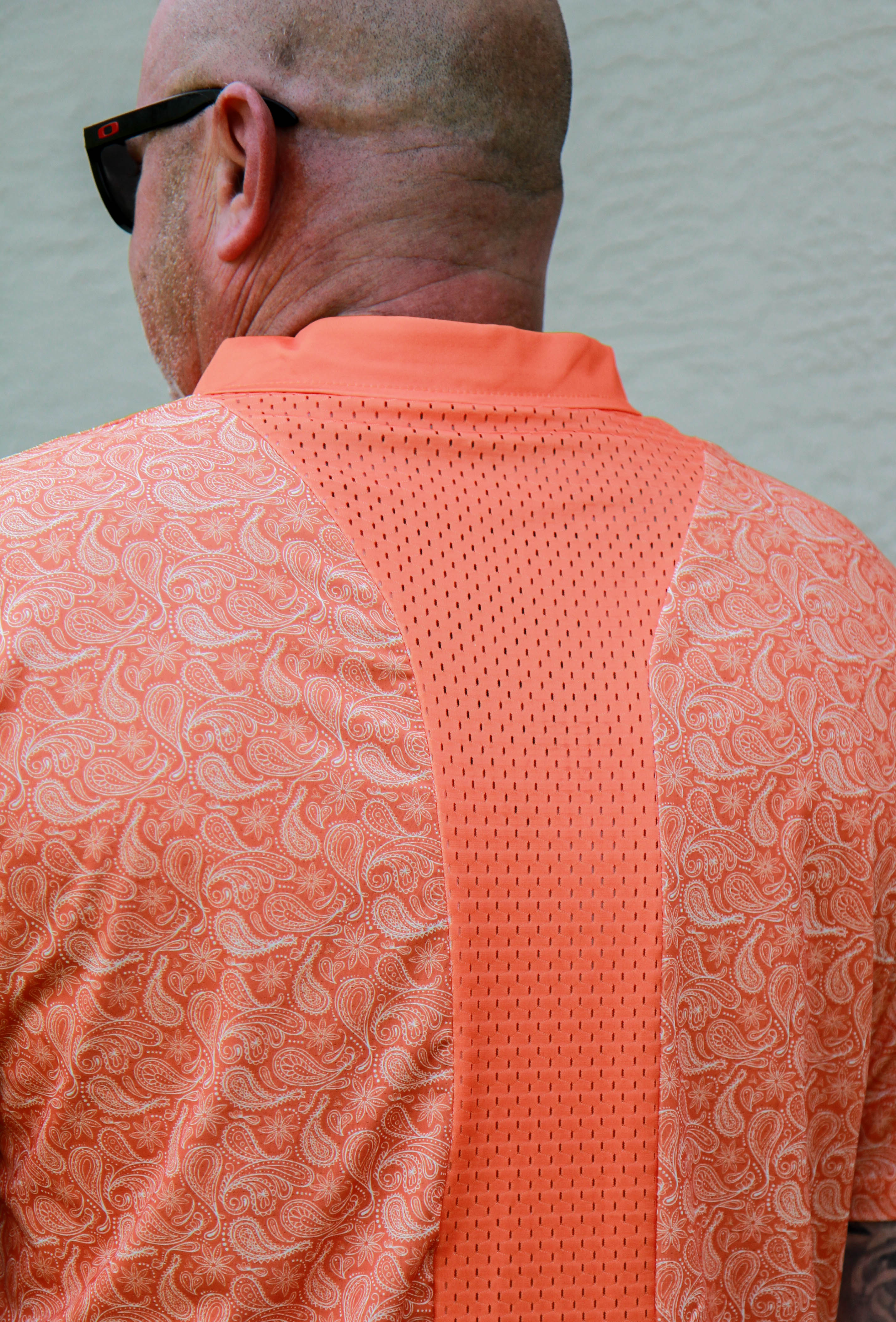 DriSpine Paisley Collection